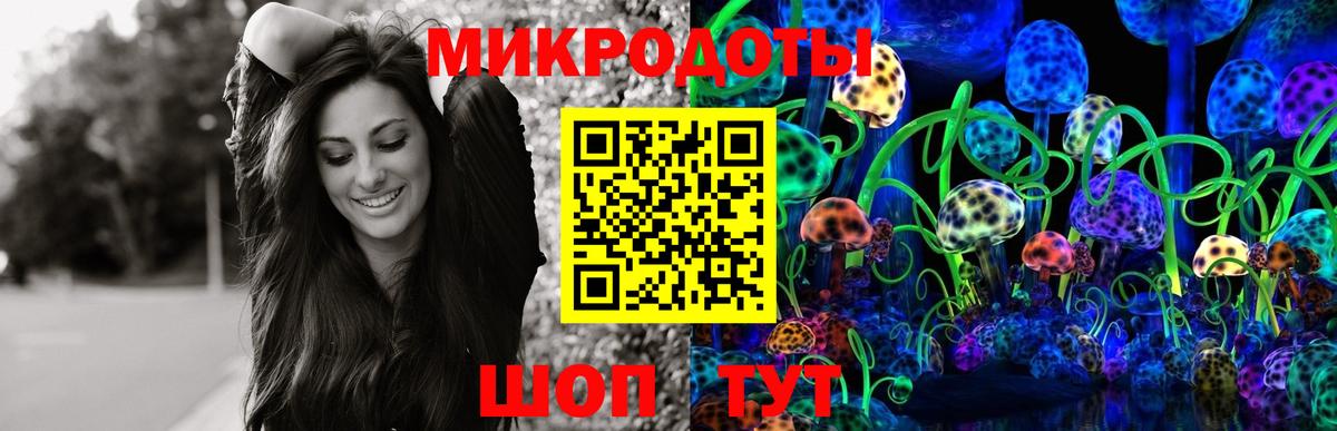 Галлюциногенные грибы Magic Shrooms Кашира